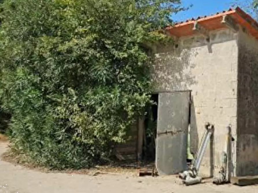 Immagine 2 di Casa indipendente in vendita  in Via Alberia a Villimpenta