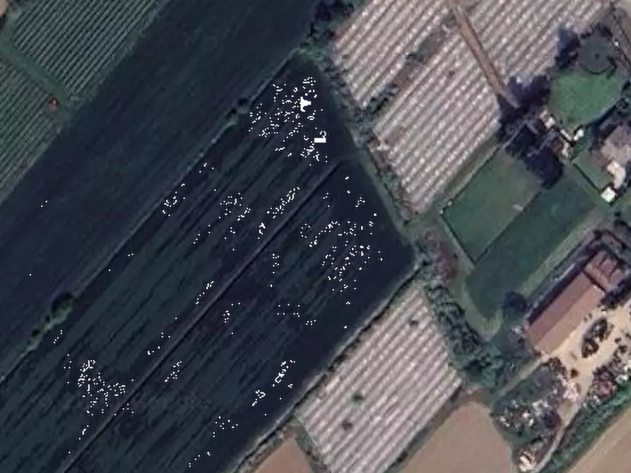 Immagine 10 di Casa indipendente in vendita  in Via Alberia a Villimpenta