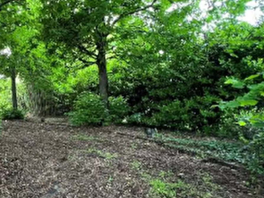 Immagine 4 di Villa in vendita  in Strada Cenasco a Moncalieri