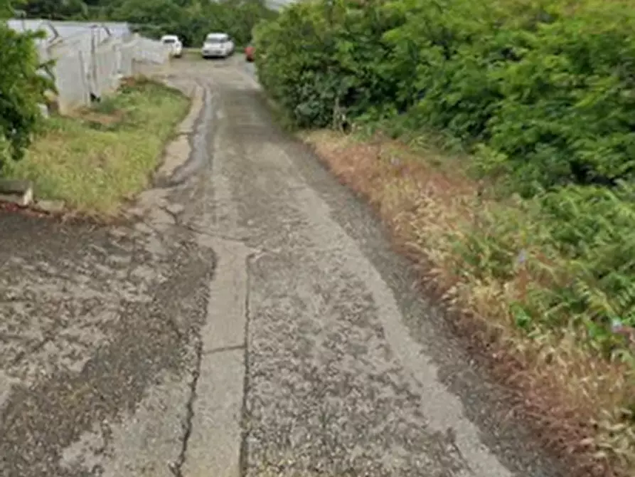 Immagine 9 di Villa in vendita  in Strada Cenasco a Moncalieri