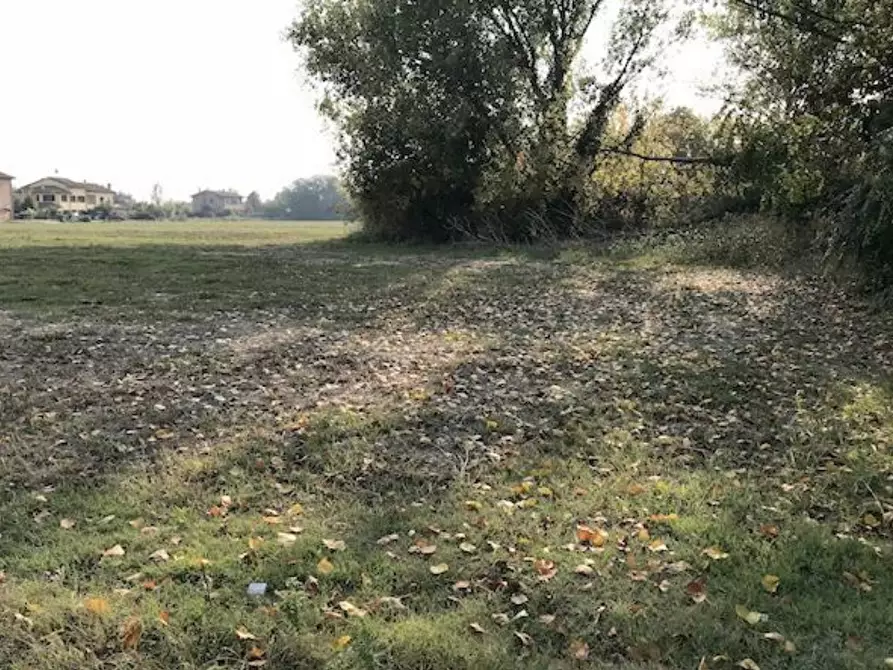 Immagine 1 di Terreno edificabile in vendita  in località Budrio a Budrio