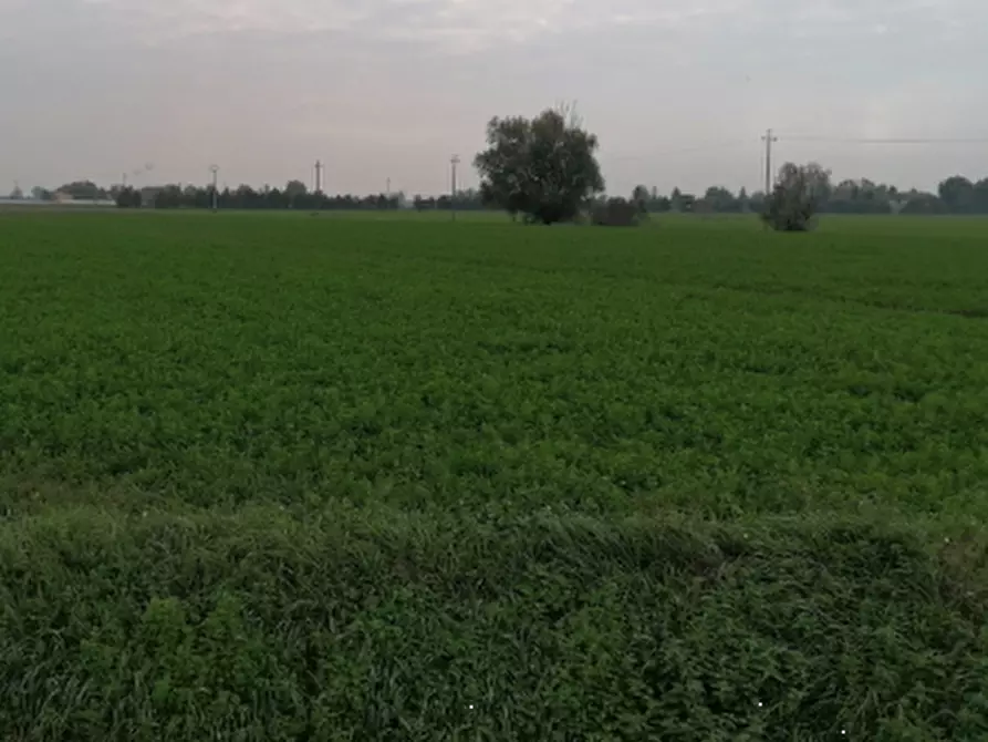 Immagine 1 di Terreno edificabile in vendita  in Frazione San Polo a Torrile