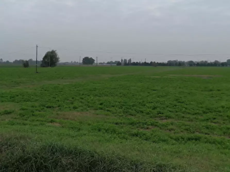 Immagine 2 di Terreno edificabile in vendita  in Frazione San Polo a Torrile