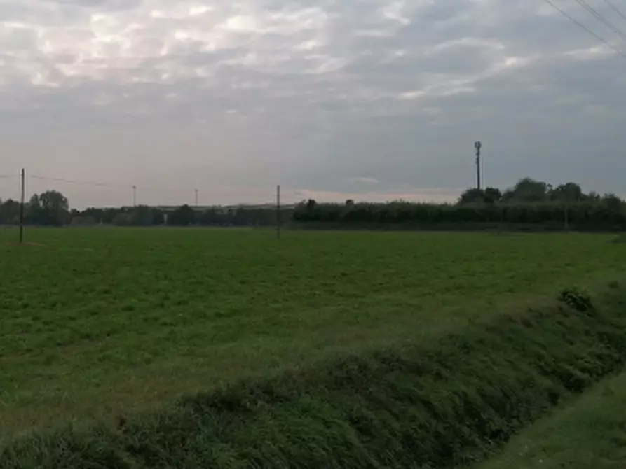 Immagine 3 di Terreno edificabile in vendita  in Frazione San Polo a Torrile
