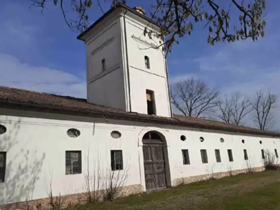 Immagine 5 di Rustico / casale in vendita  in Strada Bianca a Busseto