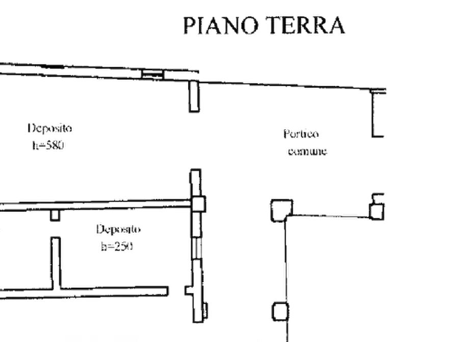 Immagine 14 di Rustico / casale in vendita  in Strada Bianca a Busseto