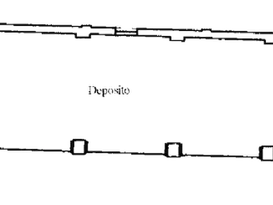 Immagine 17 di Rustico / casale in vendita  in Strada Bianca a Busseto