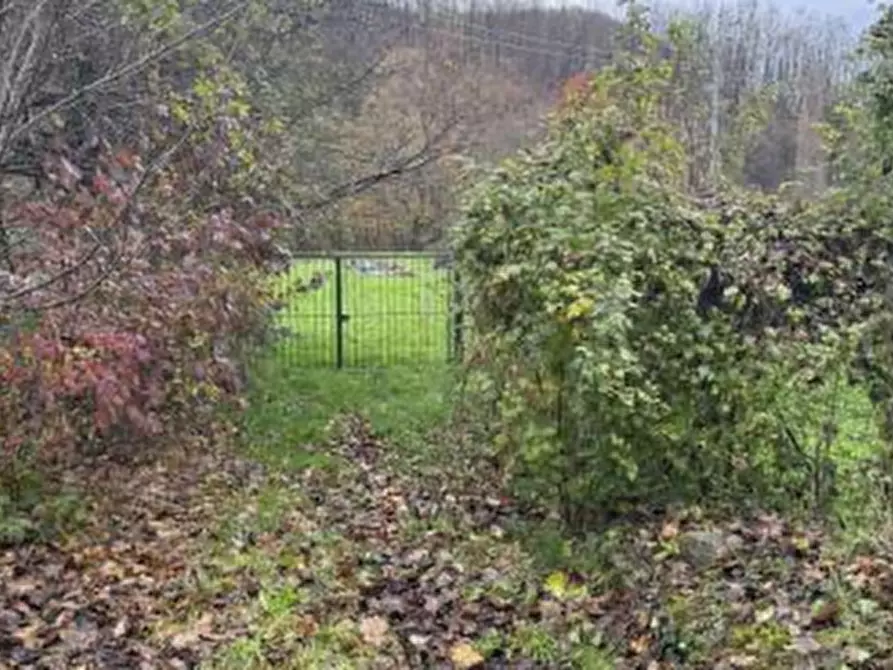 Immagine 4 di Porzione di casa in vendita  in Localita' Pontestrambo  a Tornolo