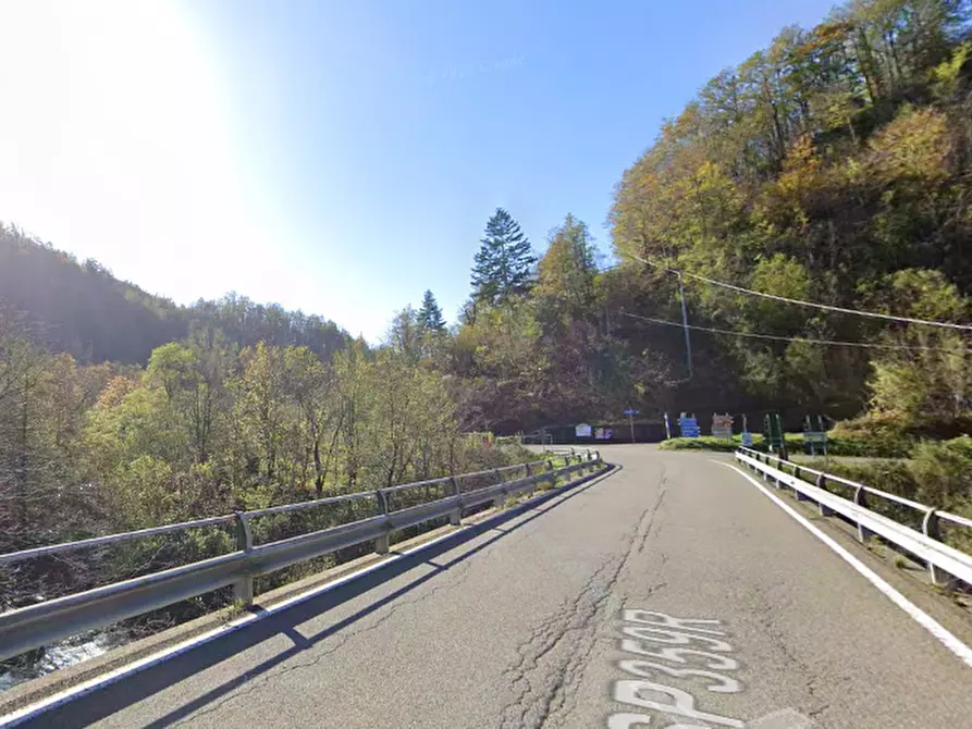 Immagine 11 di Porzione di casa in vendita  in Localita' Pontestrambo  a Tornolo