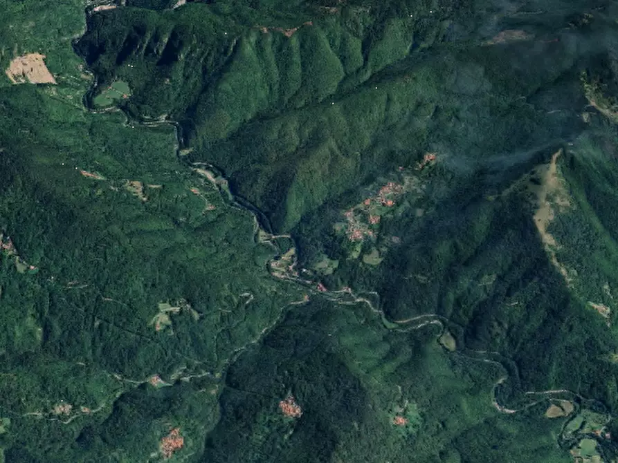 Immagine 16 di Porzione di casa in vendita  in Localita' Pontestrambo  a Tornolo