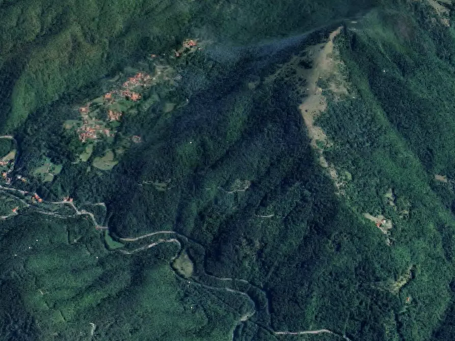 Immagine 17 di Porzione di casa in vendita  in Localita' Pontestrambo  a Tornolo