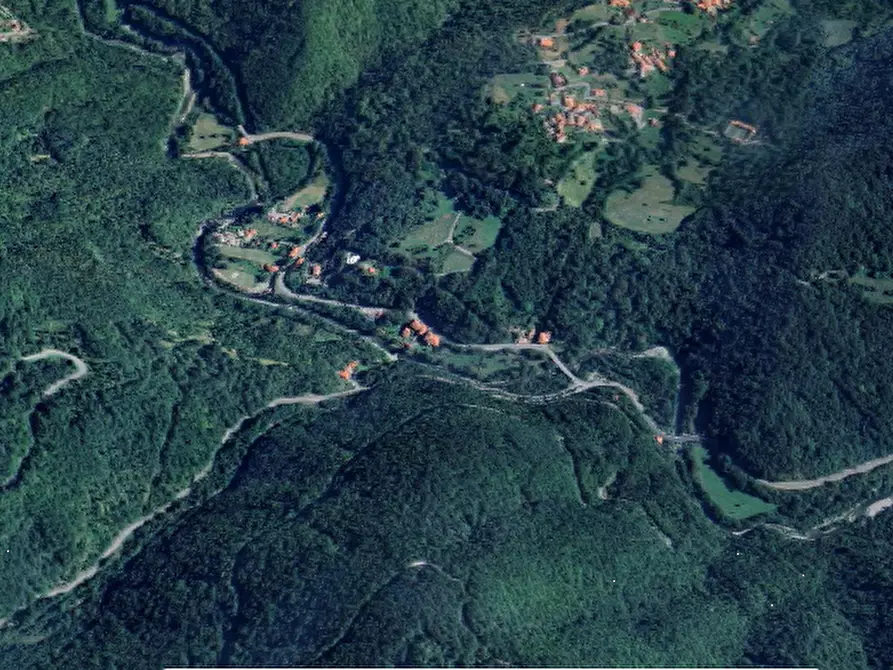 Immagine 18 di Porzione di casa in vendita  in Localita' Pontestrambo  a Tornolo