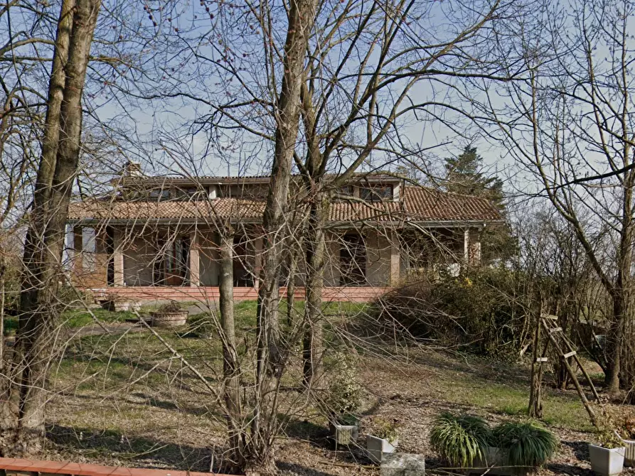 Immagine 4 di Casa indipendente in vendita  in Via Bertolotta a Sissa