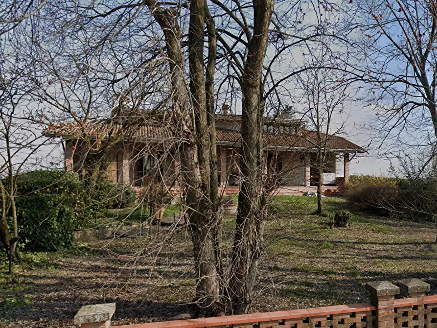 Immagine 5 di Casa indipendente in vendita  in Via Bertolotta a Sissa