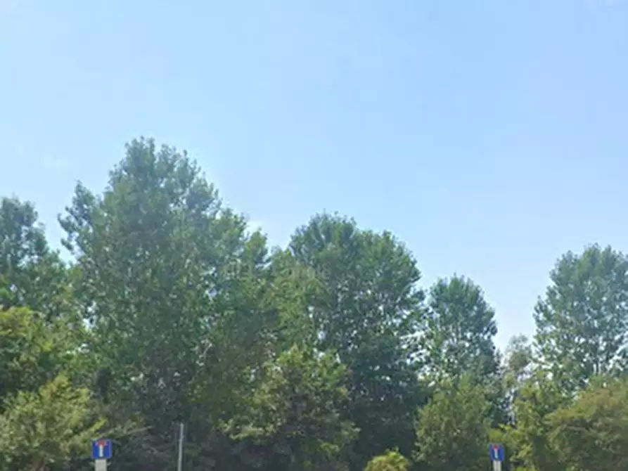 Immagine 4 di Rustico / casale in vendita  in Localita' Pellegrina a Vellezzo Bellini