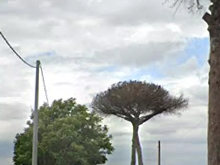 Immagine 8 di Appartamento in vendita  in Via del Firmamento a Villa Di Briano