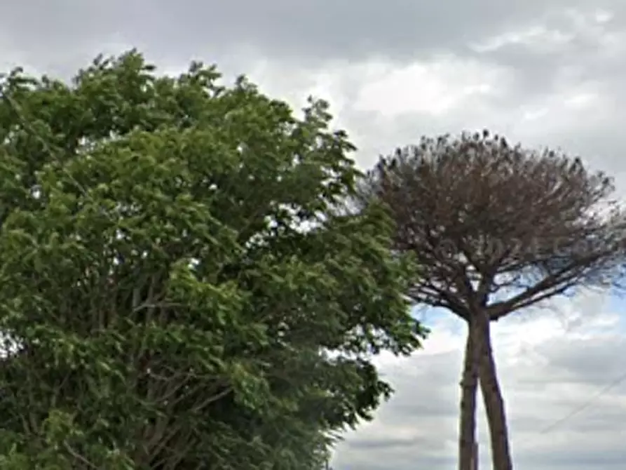 Immagine 10 di Appartamento in vendita  in Via del Firmamento a Villa Di Briano