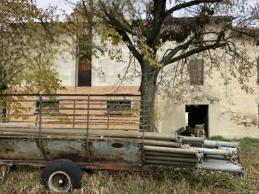 Immagine 2 di Azienda agricola in vendita  in Frazione Carzeto a Soragna