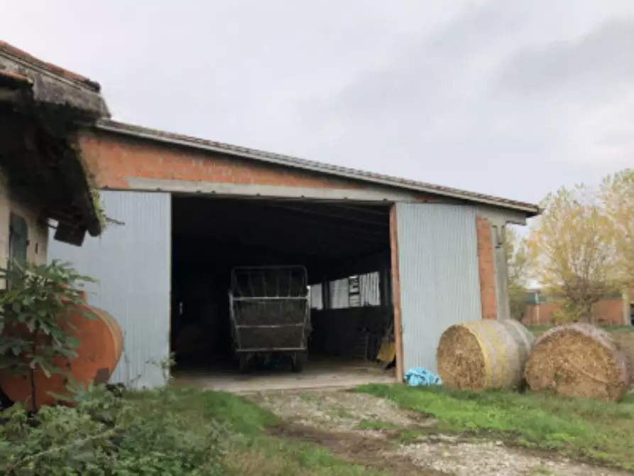 Immagine 4 di Azienda agricola in vendita  in Frazione Carzeto a Soragna
