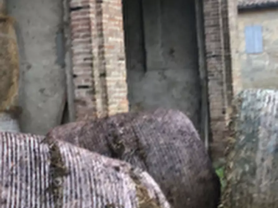 Immagine 5 di Azienda agricola in vendita  in Frazione Carzeto a Soragna