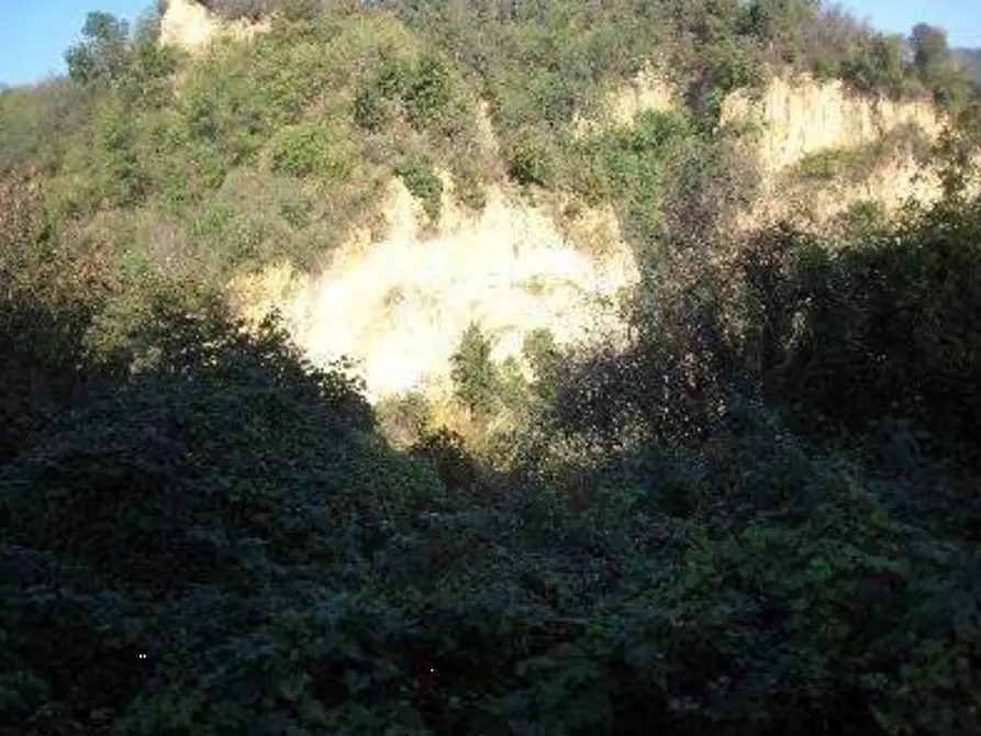 Immagine 11 di Castello in vendita  in Via Cavour a Pocapaglia