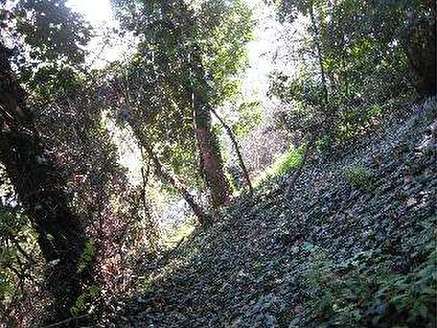 Immagine 15 di Castello in vendita  in Via Cavour a Pocapaglia