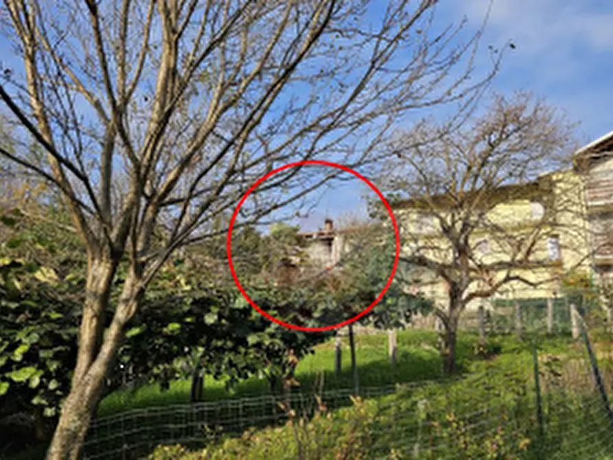 Immagine 3 di Porzione di casa in vendita  in Via Molaro a Coassolo Torinese