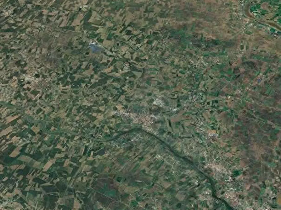 Immagine 18 di Villetta a schiera in vendita  in Via Argine Destro a Badia Polesine