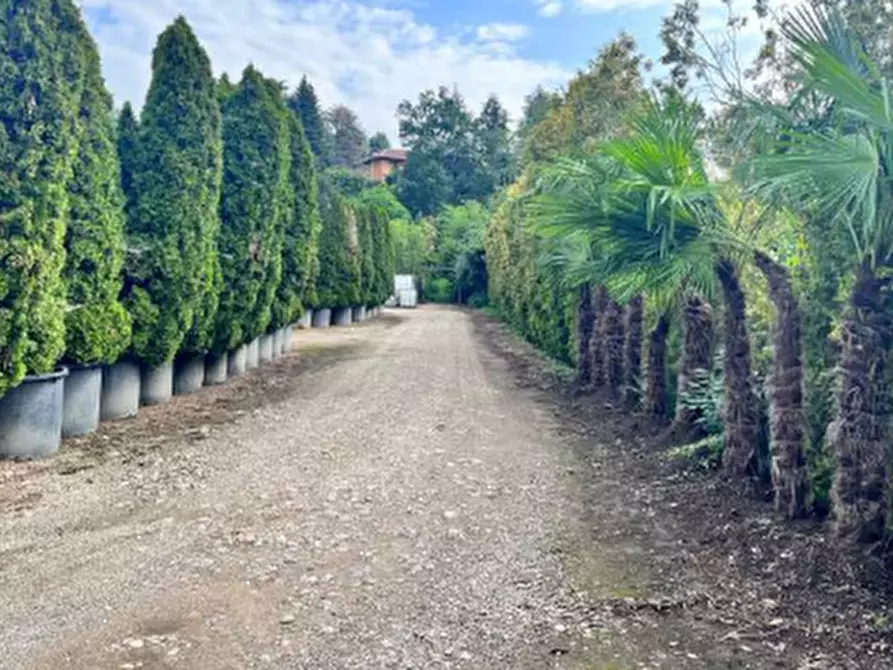 Immagine 1 di Terreno agricolo in vendita  in Via Costa Turbigina a Robecchetto Con Induno