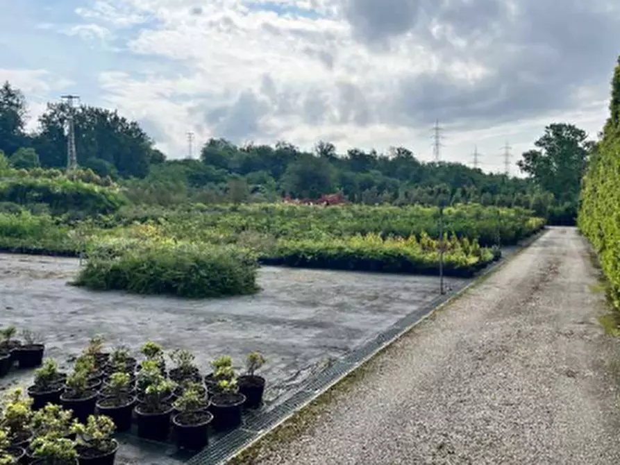 Immagine 4 di Terreno agricolo in vendita  in Via Costa Turbigina a Robecchetto Con Induno