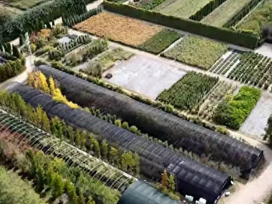 Immagine 5 di Terreno agricolo in vendita  in Via Costa Turbigina a Robecchetto Con Induno