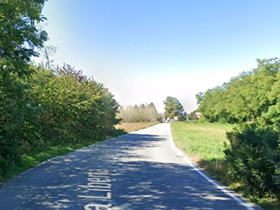 Immagine 6 di Terreno agricolo in vendita  in Via Costa Turbigina a Robecchetto Con Induno