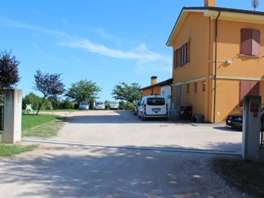 Immagine 3 di Azienda agricola in vendita  in Via Vigo Ruffio a Cesena