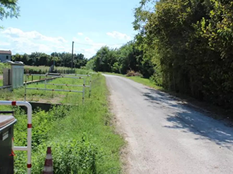 Immagine 4 di Azienda agricola in vendita  in Via Vigo Ruffio a Cesena
