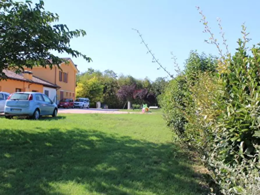 Immagine 9 di Azienda agricola in vendita  in Via Vigo Ruffio a Cesena
