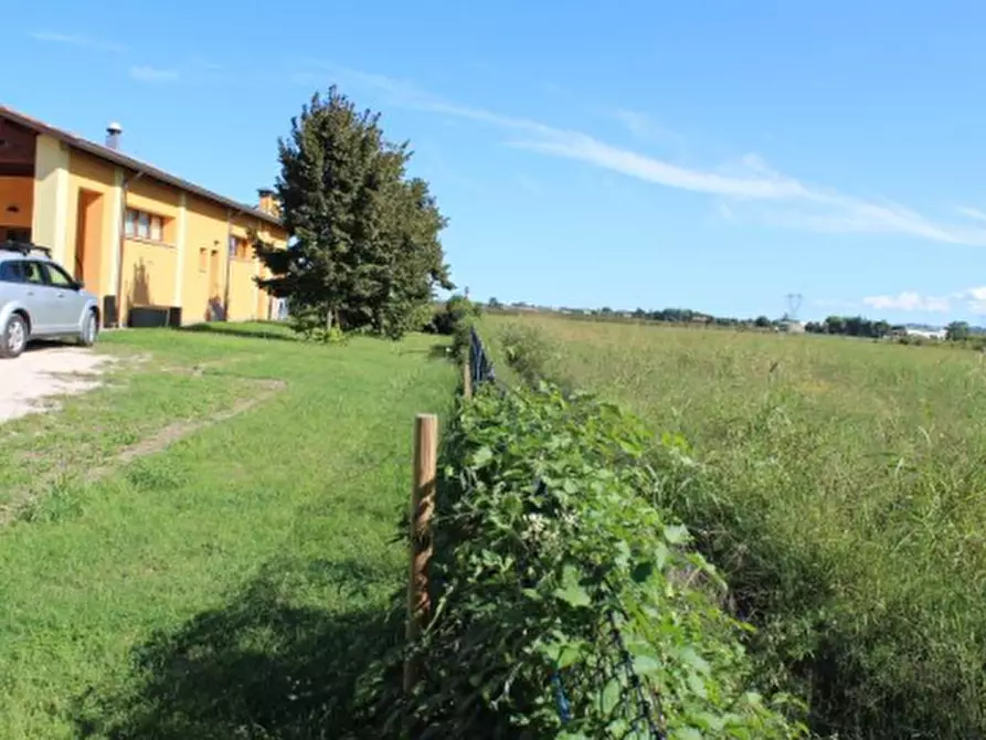 Immagine 18 di Azienda agricola in vendita  in Via Vigo Ruffio a Cesena