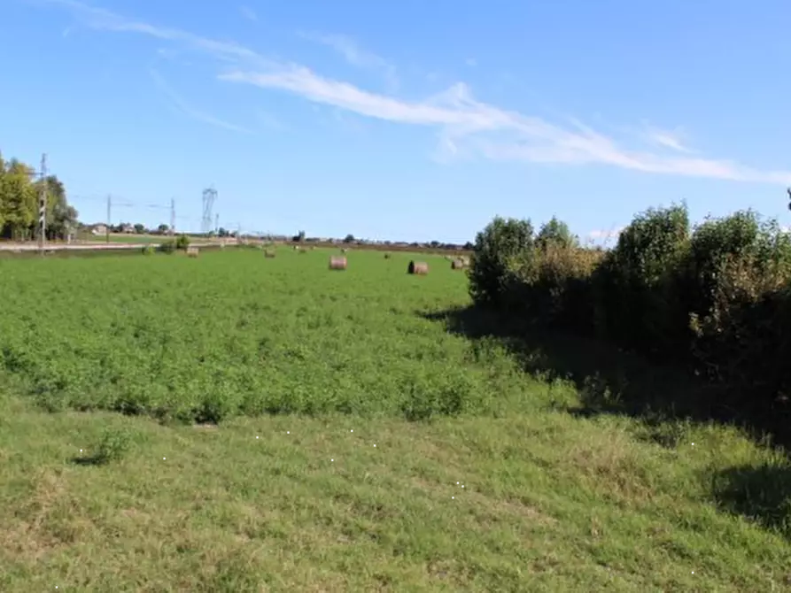 Immagine 22 di Azienda agricola in vendita  in Via Vigo Ruffio a Cesena