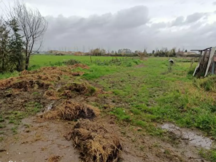 Immagine 2 di Terreno agricolo in vendita  in Località San Leucio a Grazzanise