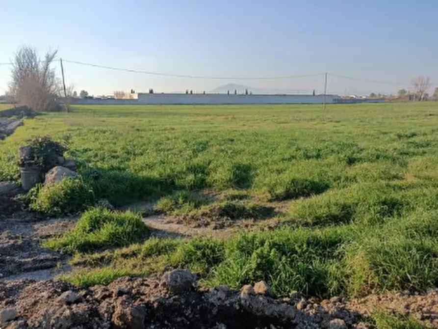 Immagine 1 di Terreno agricolo in vendita  in Località San Leucio a Grazzanise