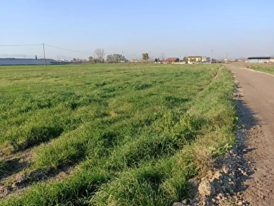 Immagine 3 di Terreno agricolo in vendita  in Località San Leucio a Grazzanise