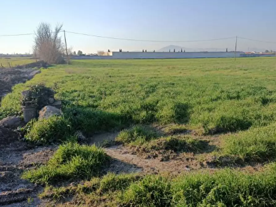 Immagine 4 di Terreno agricolo in vendita  in Località San Leucio a Grazzanise