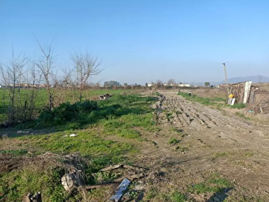 Immagine 5 di Terreno agricolo in vendita  in Località San Leucio a Grazzanise