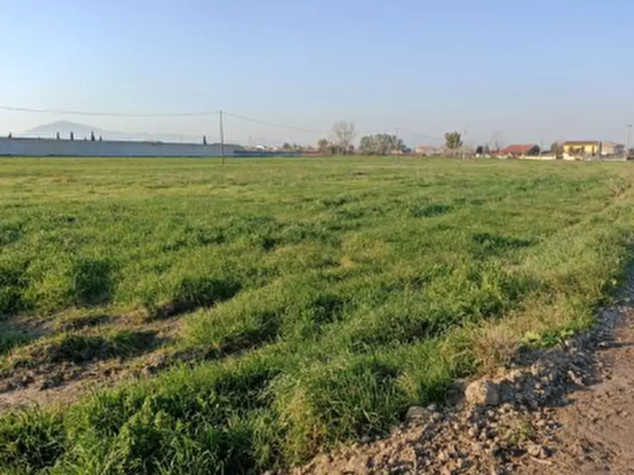Immagine 6 di Terreno agricolo in vendita  in Località San Leucio a Grazzanise