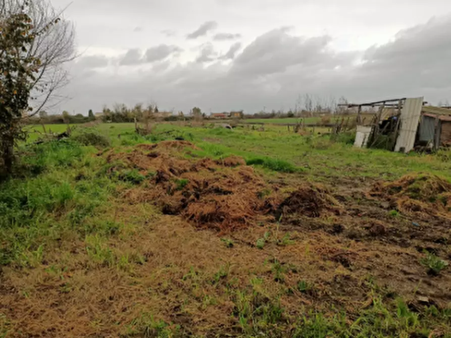 Immagine 7 di Terreno agricolo in vendita  in Località San Leucio a Grazzanise