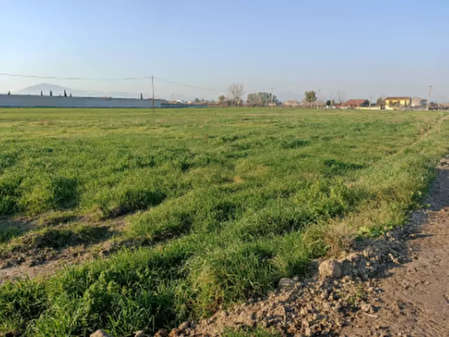 Immagine 8 di Terreno agricolo in vendita  in Località San Leucio a Grazzanise