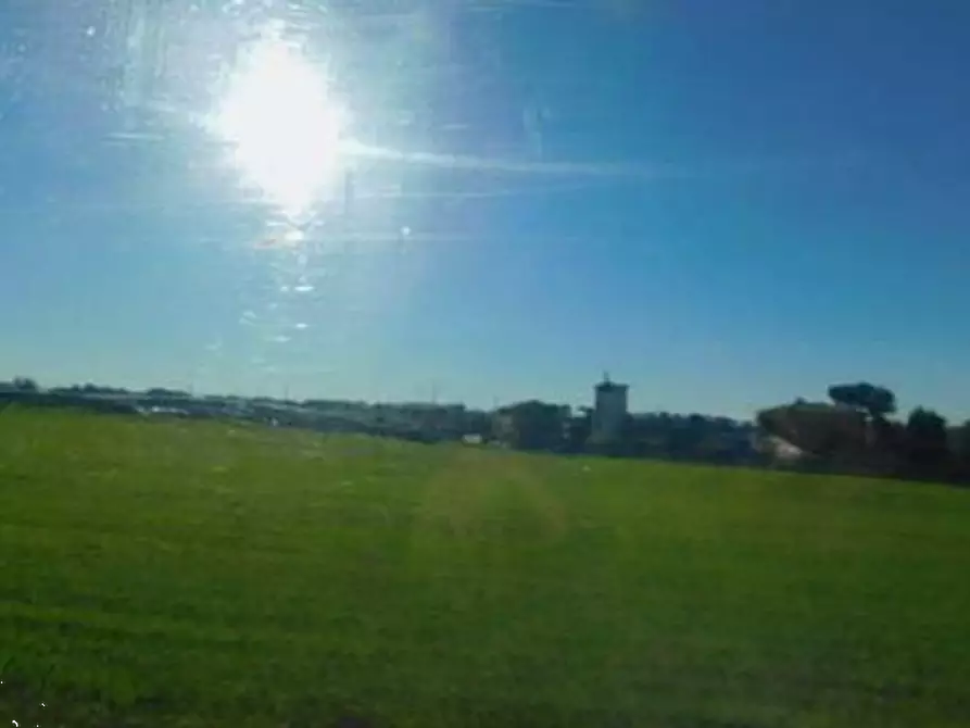 Immagine 2 di Terreno agricolo in vendita  in Via Di Lunghezzina a Roma