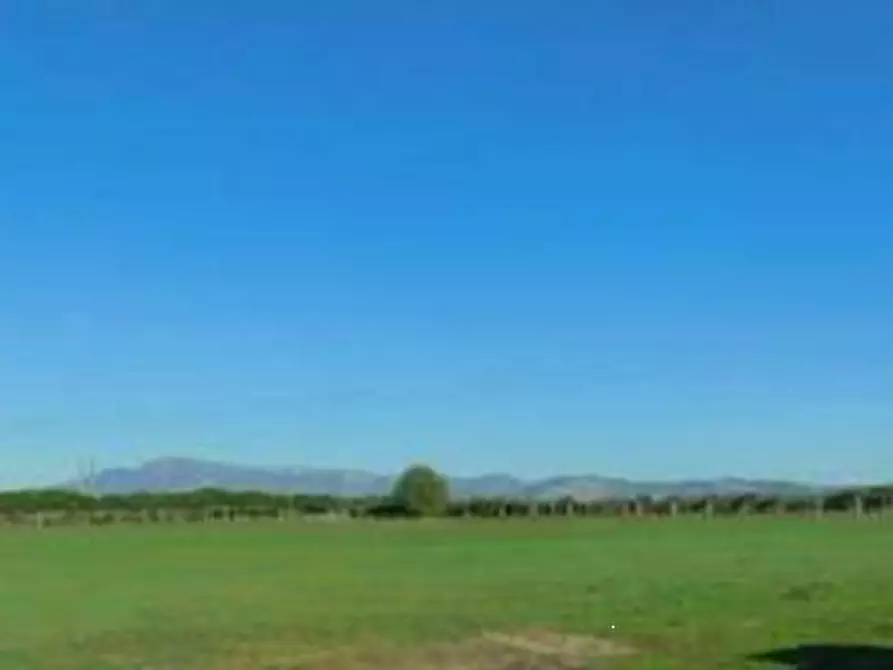Immagine 3 di Terreno agricolo in vendita  in Via Di Lunghezzina a Roma