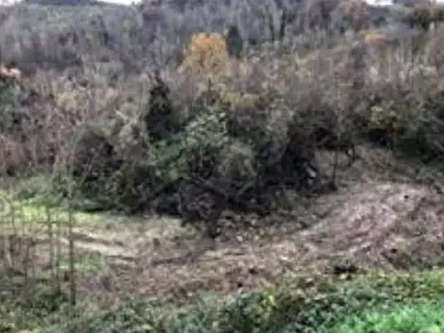 Immagine 3 di Terreno edificabile in vendita  in Viale Nardi a Urbania