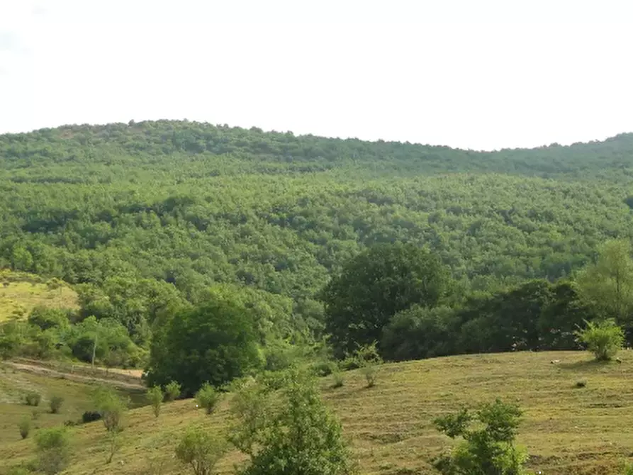 Immagine 1 di Terreno agricolo in vendita  in Località Belvedere a Cantiano