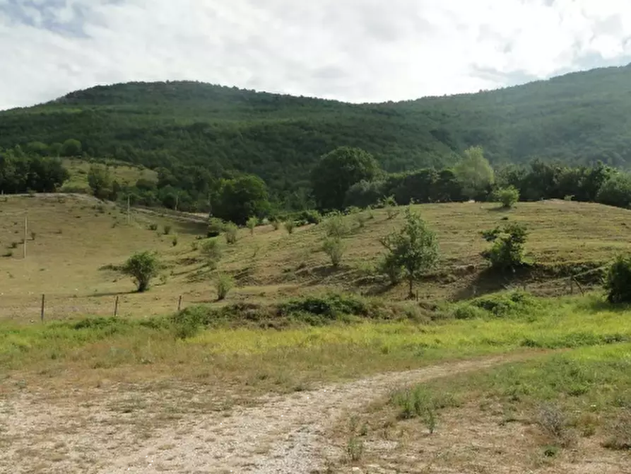 Immagine 2 di Terreno agricolo in vendita  in Località Belvedere a Cantiano